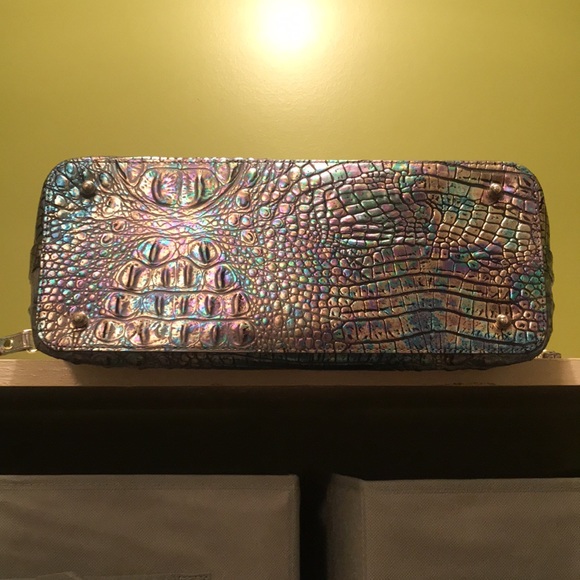 Mother of pearl Brahmin - Picture 3 of 8